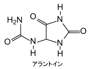 アラントイン