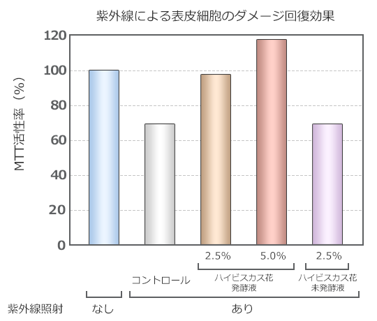 ハイビスカス花発酵液