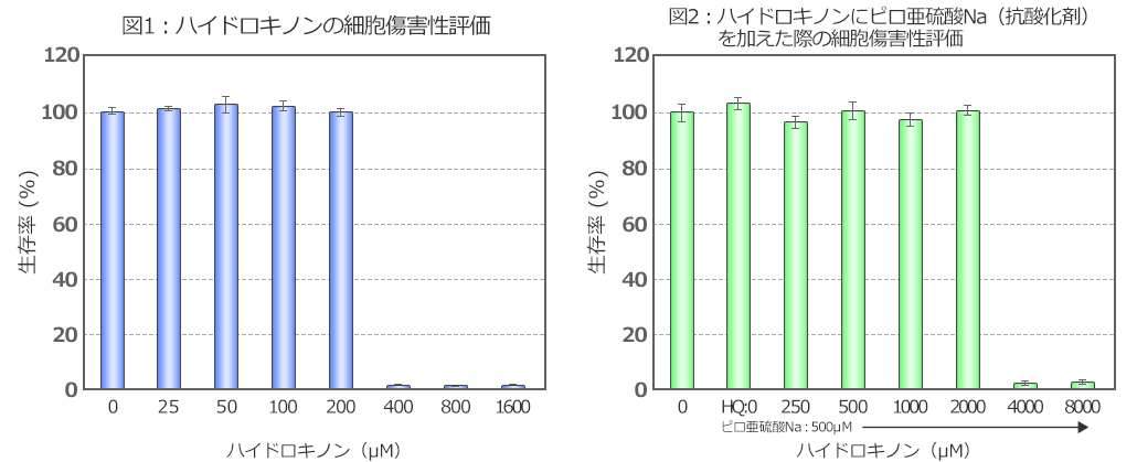 ハイドロキノンの細胞傷害性評価比較