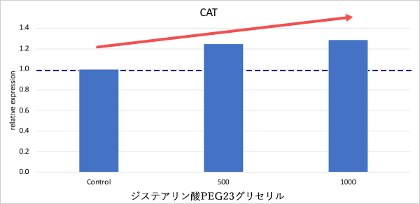 結果 CAT