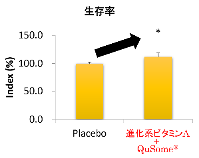 Figure 1　生存率