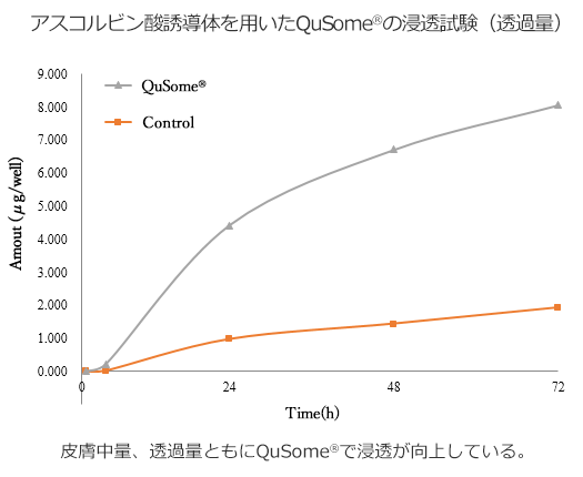アスコルビン酸誘導体を用いたQuSome®の浸透試験（透過量）