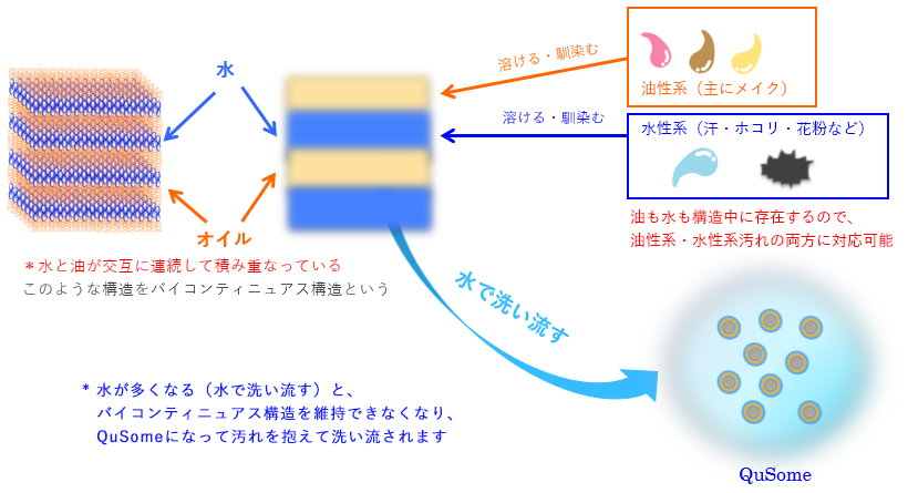 バイコンティニュアス構造