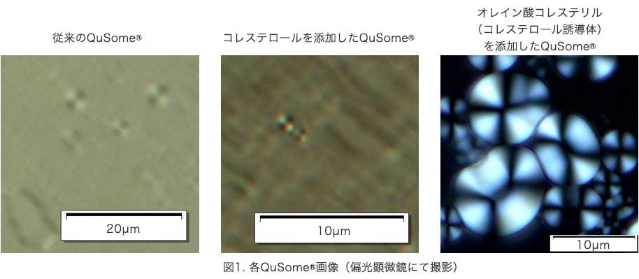 図1. 各QuSome®画像（偏光顕微鏡にて撮影）
