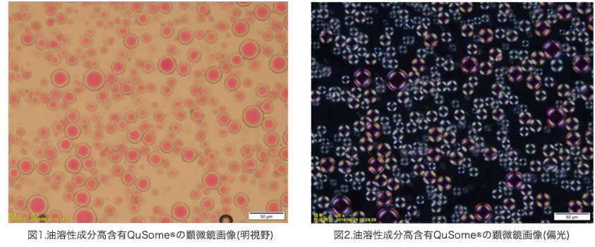 油溶性成分高含有QuSome®の顕微鏡画像
