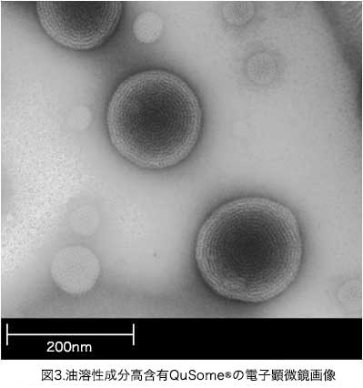 図3.油溶性成分高含有QuSome®の電子顕微鏡画像